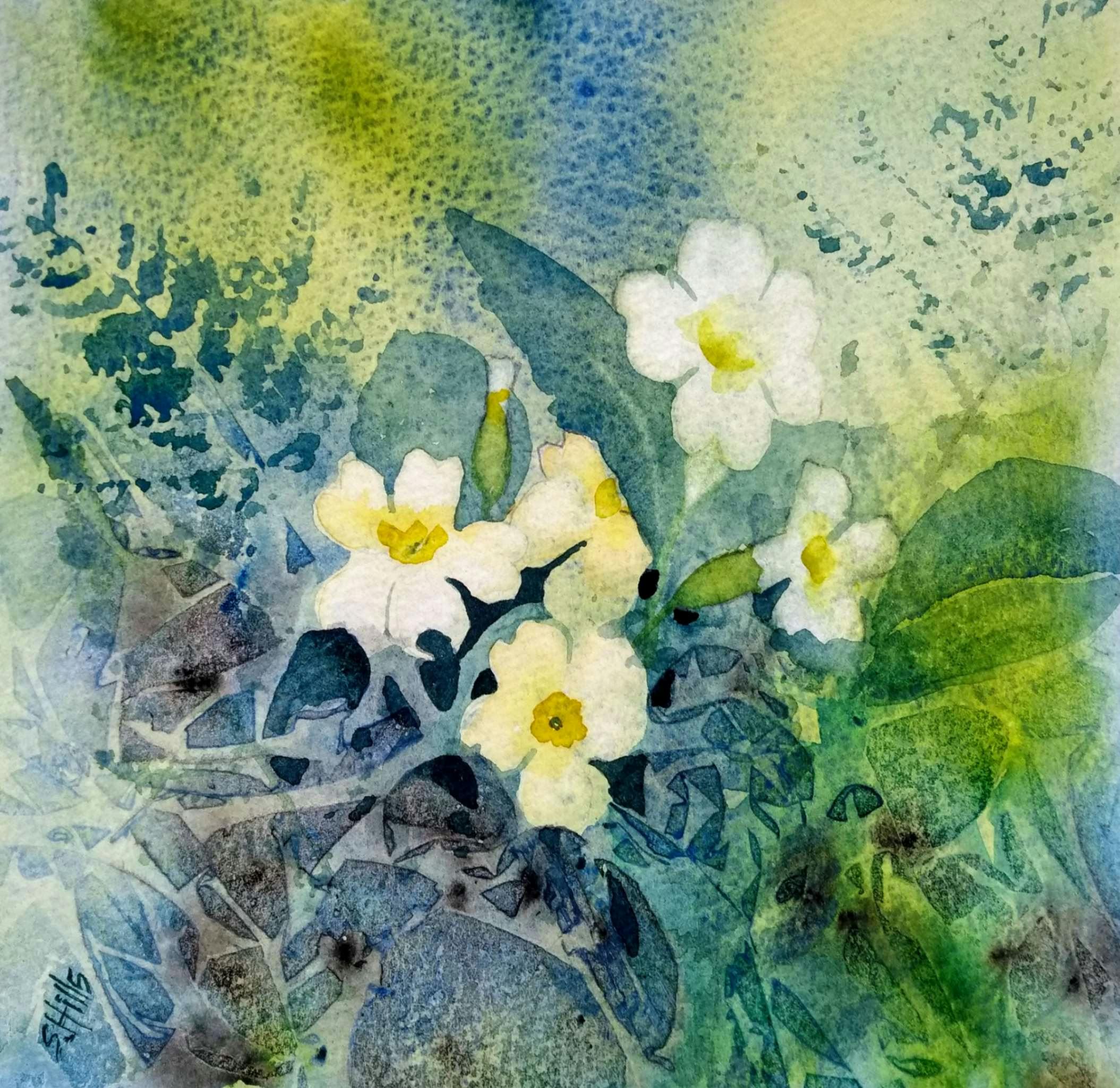 Watercolour painting of white flowers with yellow centres and green leaves against a blue and green textured background.