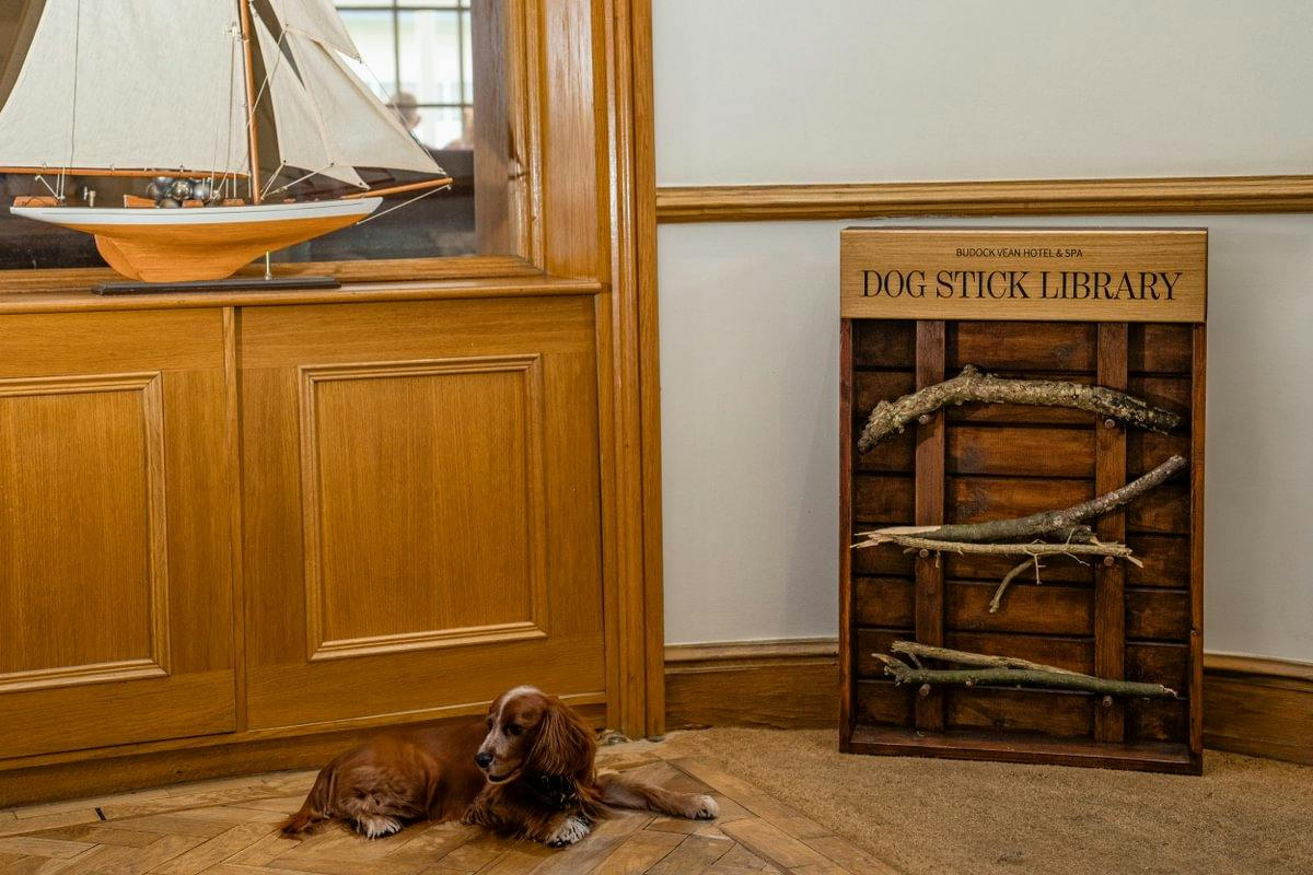 Dog Stick Library | Budock Vean Hotel