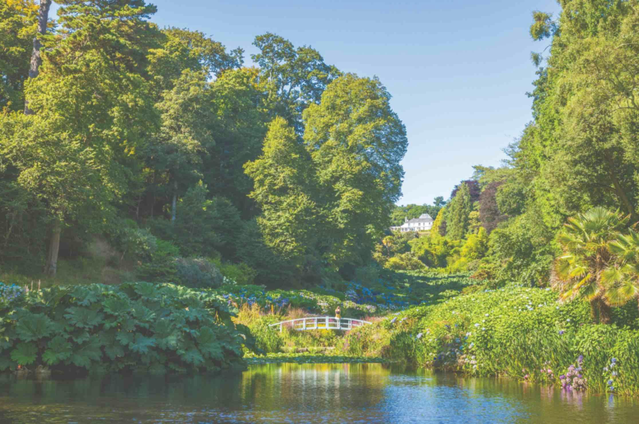 Lush garden valley with a pond, a small white footbridge, towering trees, and a distant white house under a clear blue sky.