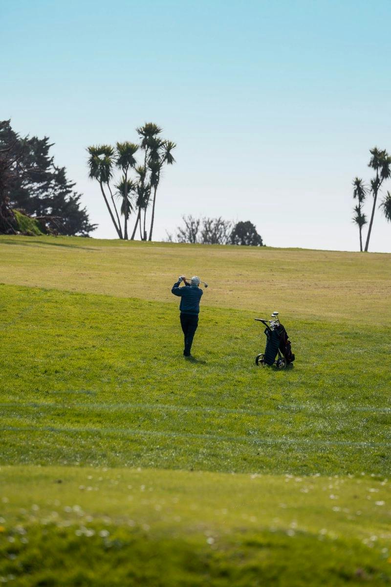 Golfer on a grassy fairway follows through on a shot beside a push cart, with palm trees silhouetted against a clear sky.