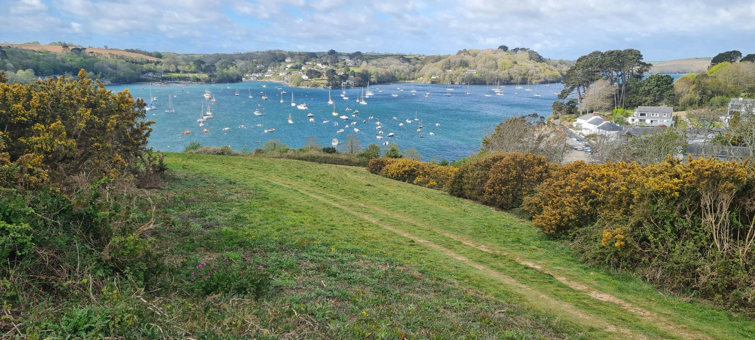 Grassy hillside path overlooking a blue harbor filled with sailboats, with trees, houses, and rolling hills under a cloudy sky.