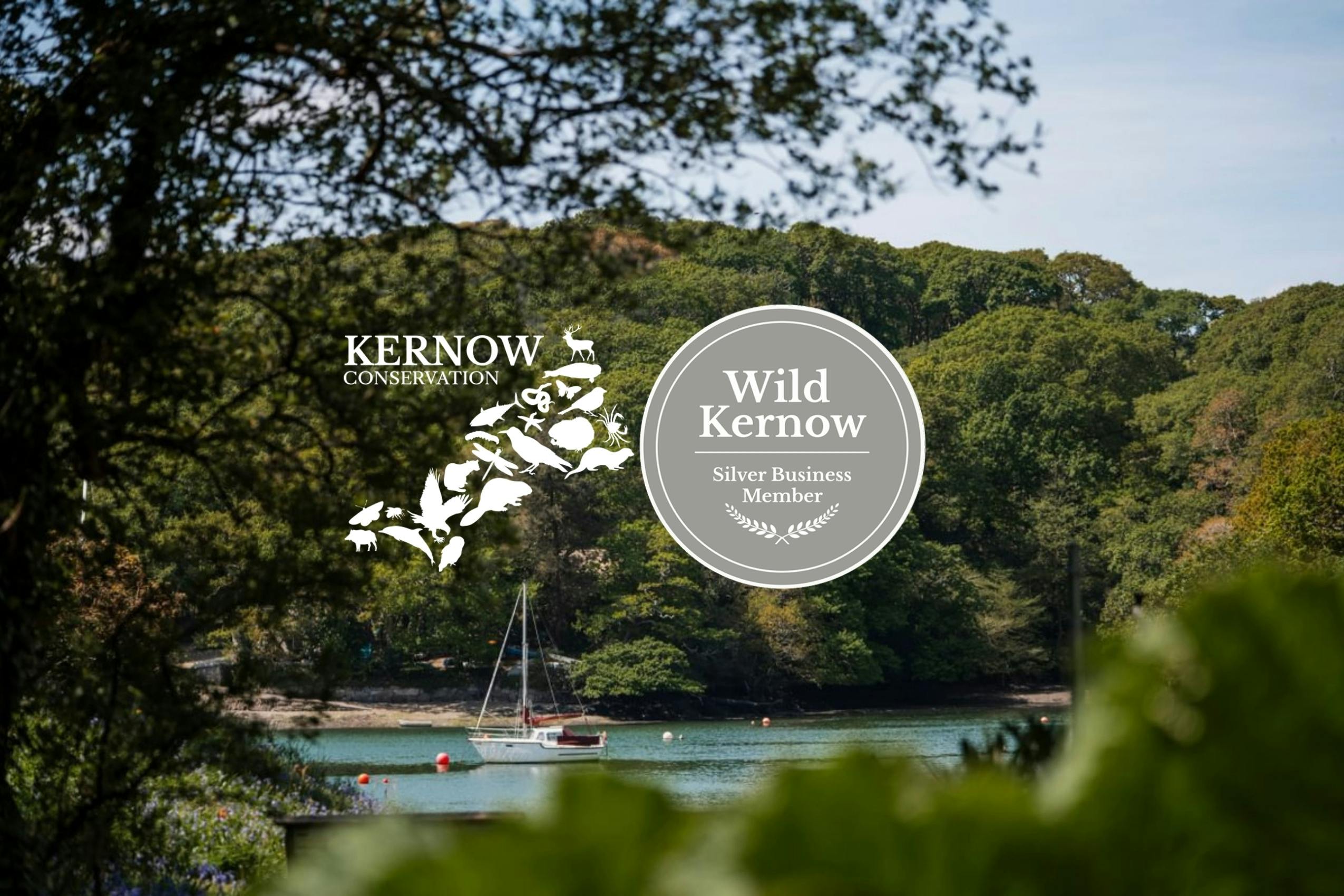 Wooded riverside with a small sailboat, overlaid with Kernow Conservation and Wild Kernow Silver Business Member logos.