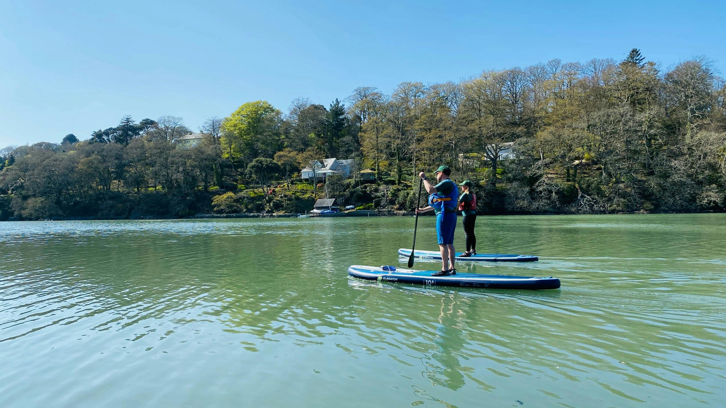 Two people paddleboard on calm green water near a wooded shoreline with houses under a clear blue sky.