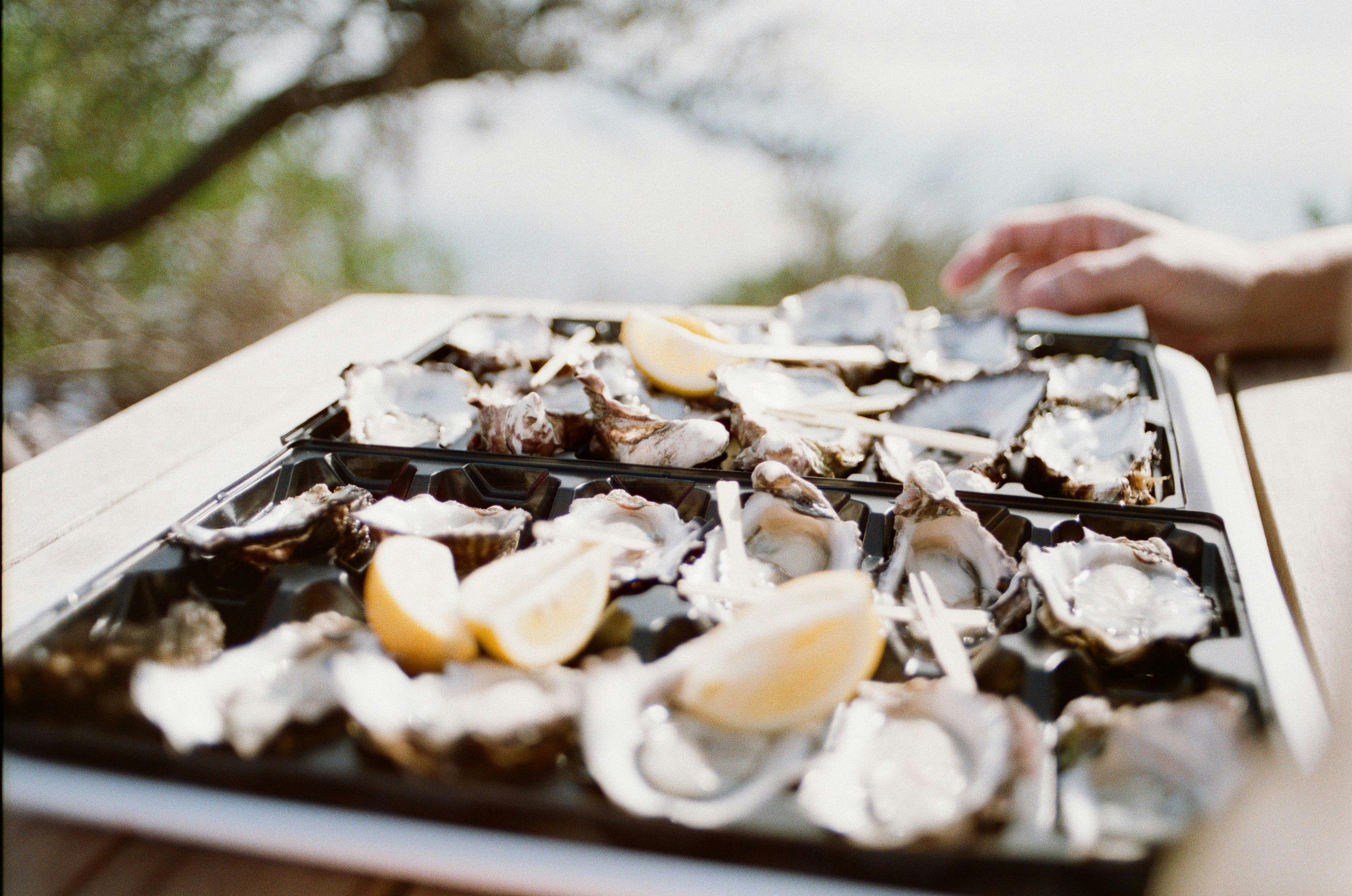 Tray of freshly shucked oysters with lemon wedges on an outdoor table, with a hand reaching toward them in soft sunlight.