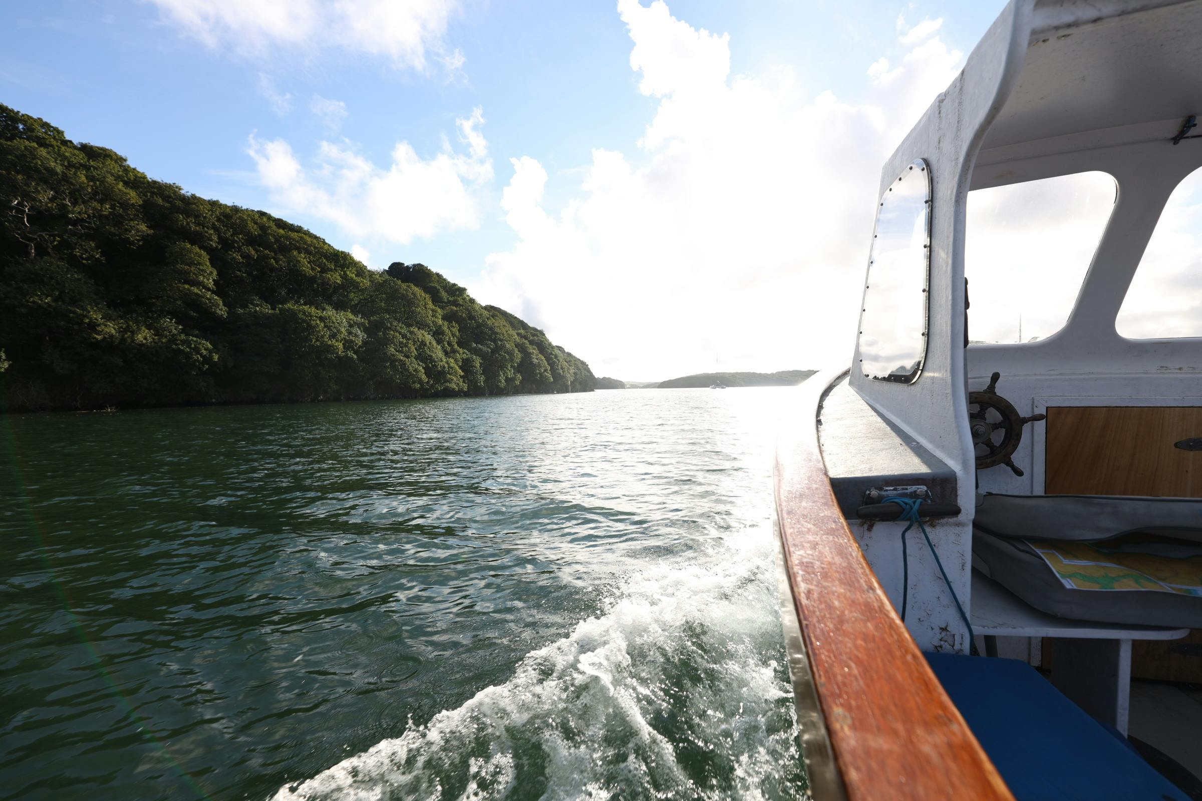 View from a small boat cruising past a tree-covered shoreline on calm water under a bright, partly cloudy sky.