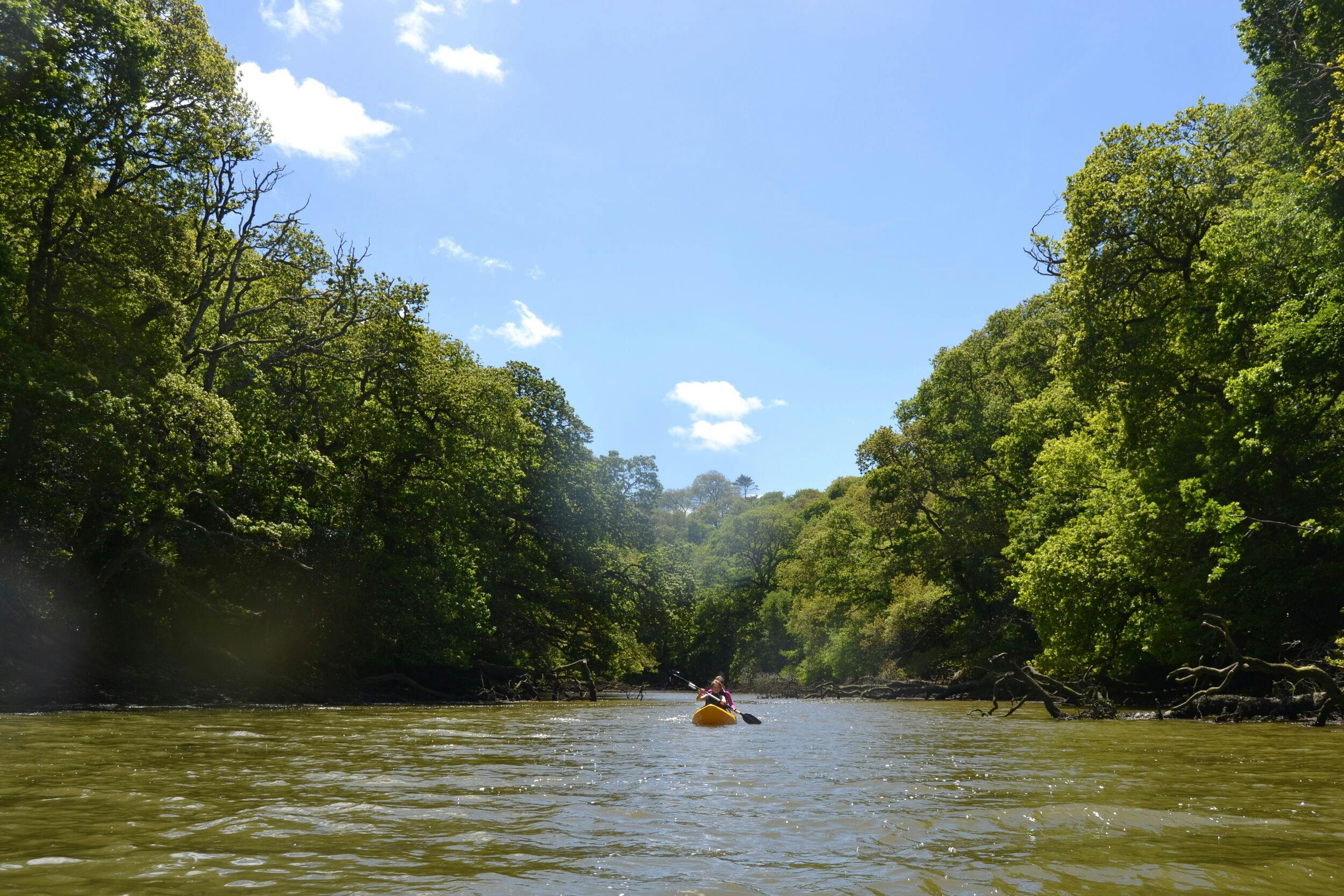 A lone kayaker paddles down a calm river between dense green trees under a bright blue sky with a few white clouds.