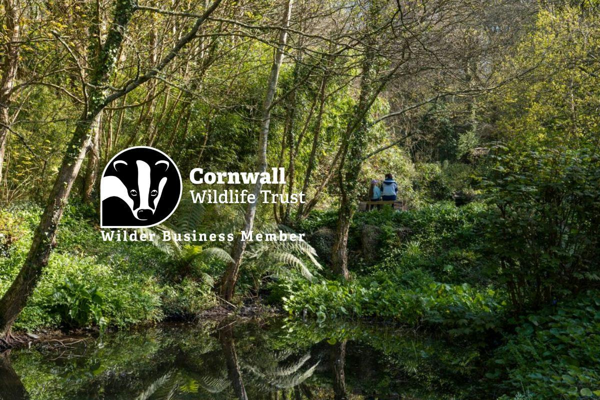 Woodland stream with lush greenery and two people seated in the distance, overlaid with Cornwall Wildlife Trust member logo.