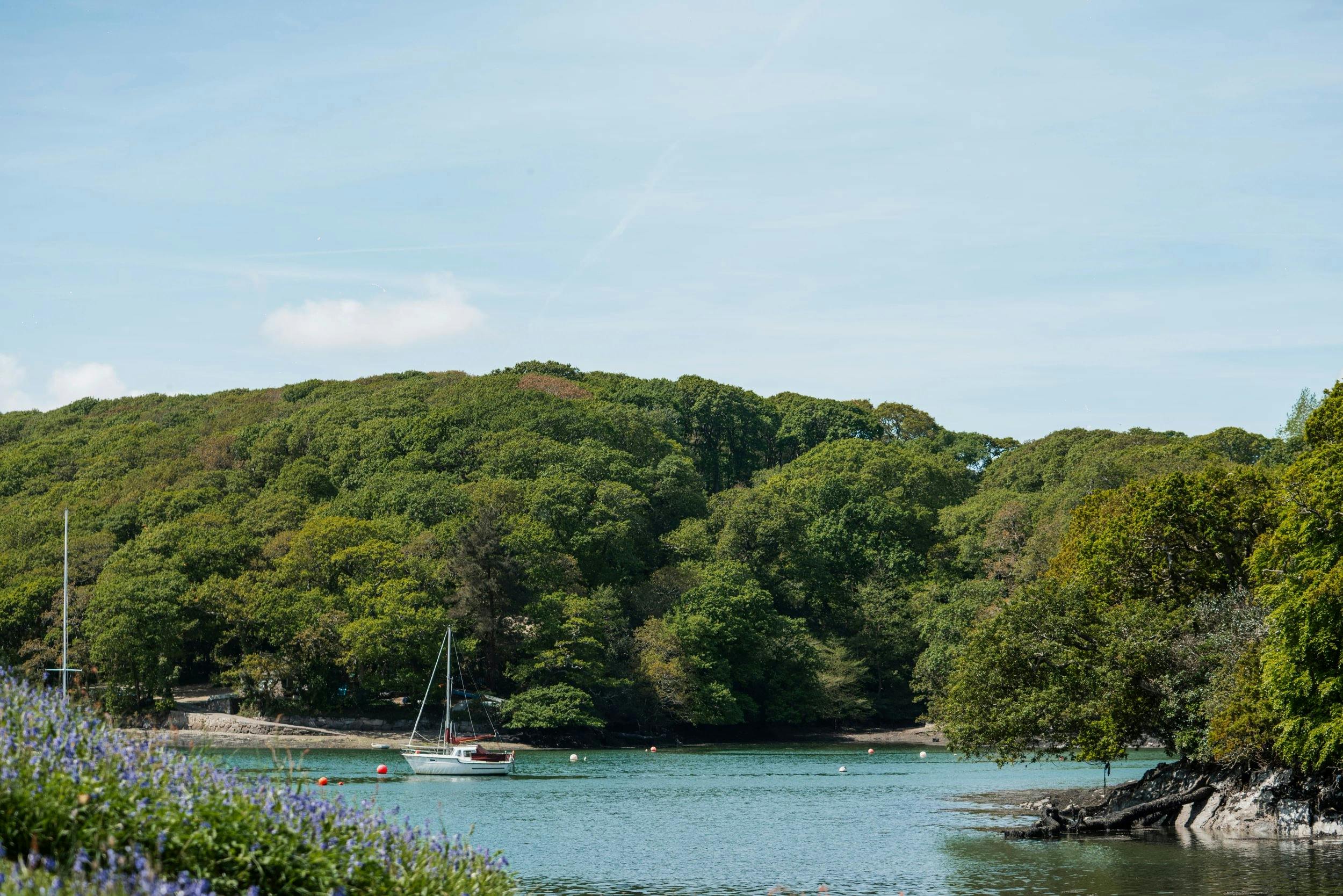 Sailboat anchored on a calm river inlet, framed by dense green trees under a clear blue sky.