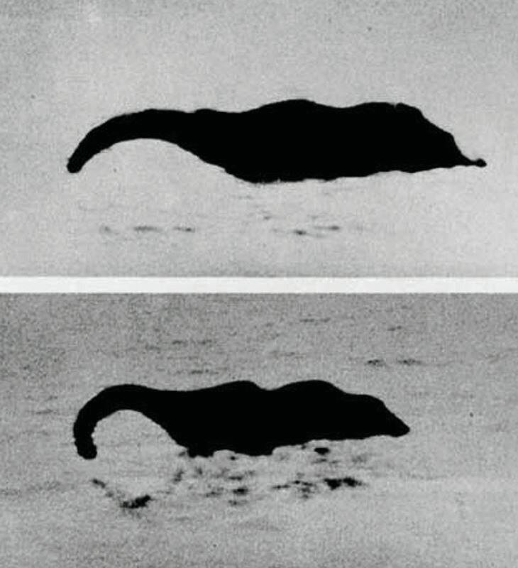Two grainy black-and-white photos show a dark, long-necked silhouette on water, resembling the Loch Ness Monster.