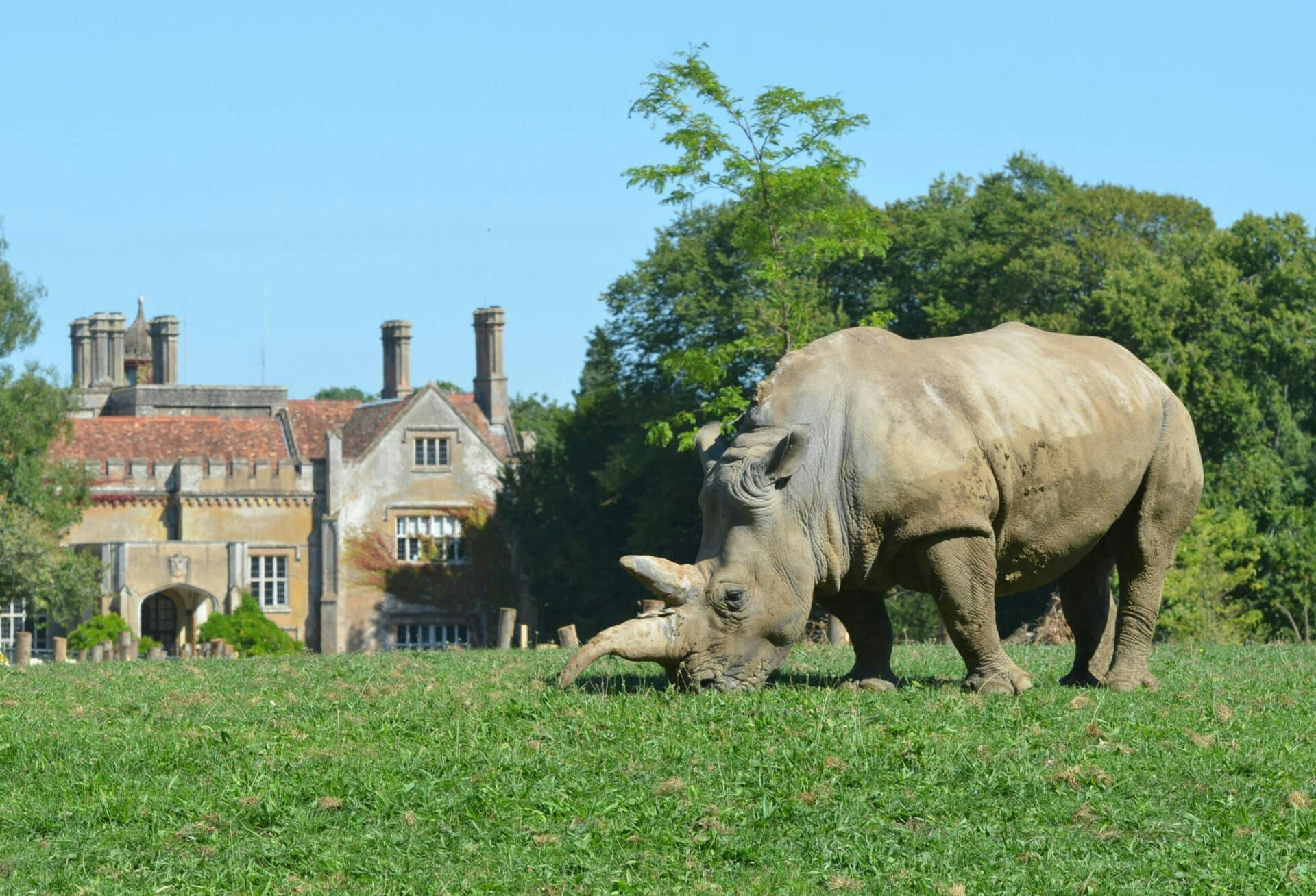 Marwell Zoo